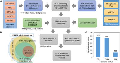 Post-translational Modification Crosstalk and Hotspots in Sirtuin Interactors Implicated in Cardiovascular Diseases